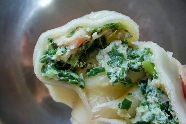 韭菜猪肉饺子的做法图解10