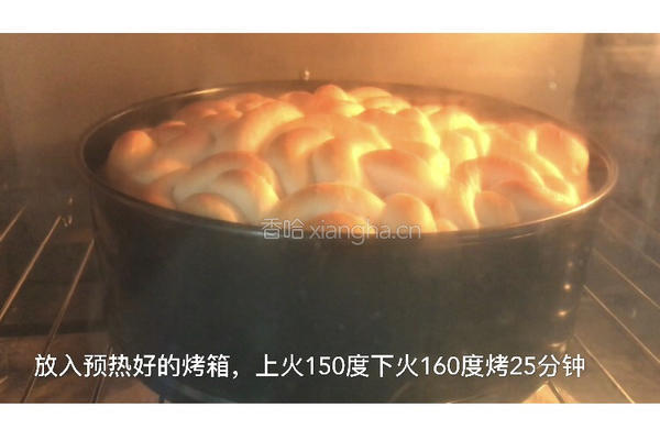 奶香花包的做法图解16