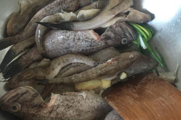 酱香海鱼的做法图解3