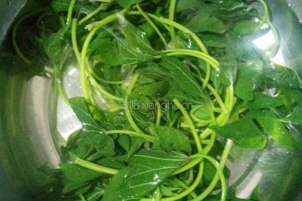 凉拌红薯叶粉丝的做法图解6