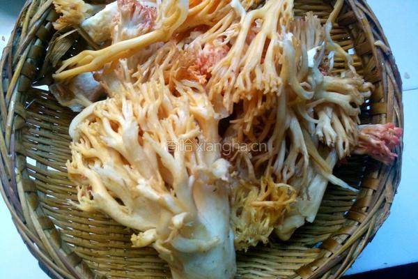 炒野生刷把菌的做法图解2