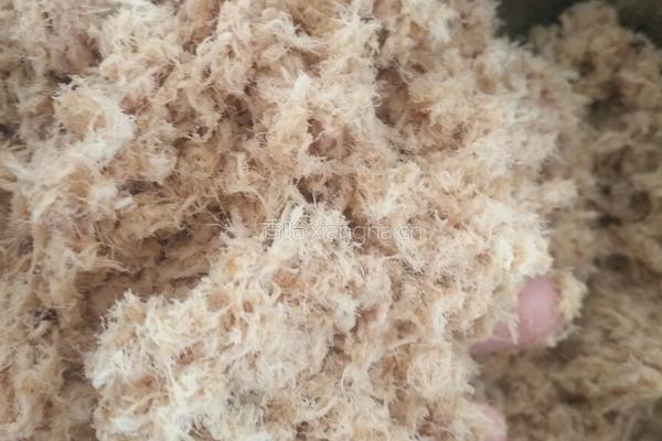 自制肉松的做法图解6