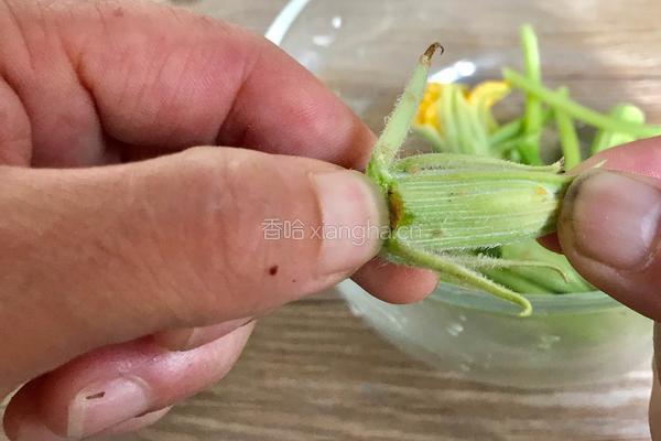 南瓜花炒鸡蛋（儿时的味道）的做法图解1
