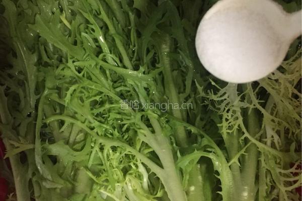 凉拌苦菊的做法图解3