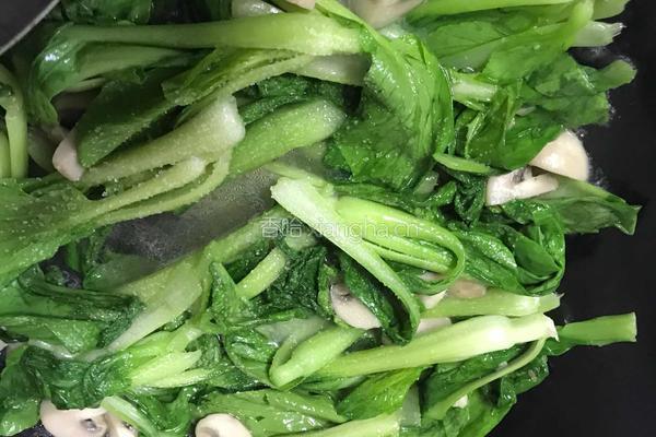蘑菇炒青菜的做法图解5