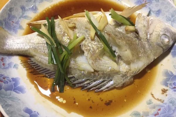 清蒸野生原味黄翅鱼的做法图解4