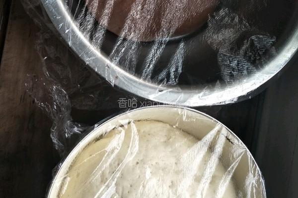 可可粉双色馒头的做法图解4
