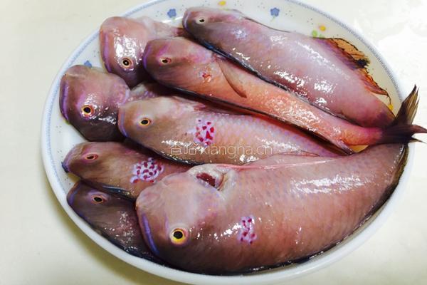 干煎马头鱼的做法图解1