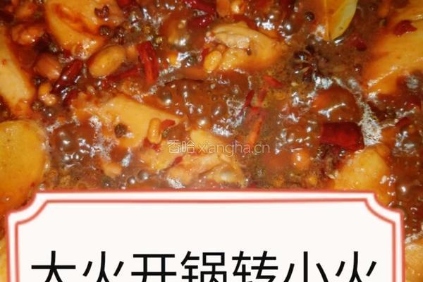 啤酒麻辣鸡翅的做法图解14