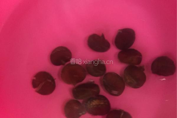 桂花糖水栗的做法图解8
