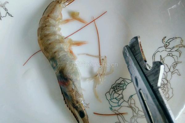 蒜茸开边虾的做法图解15