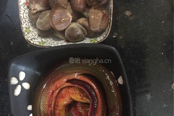 板栗炖黄鳝的做法图解2