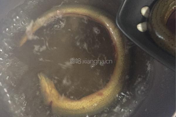 板栗炖黄鳝的做法图解5