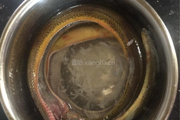 板栗炖黄鳝的做法图解6