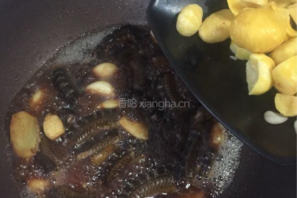 板栗炖黄鳝的做法图解17