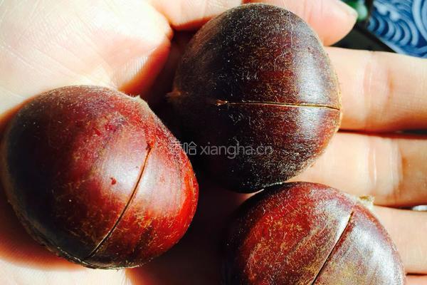 黄油烤栗子的做法图解2