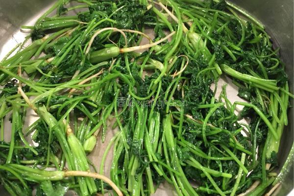 独家秘制酱菜的做法图解7