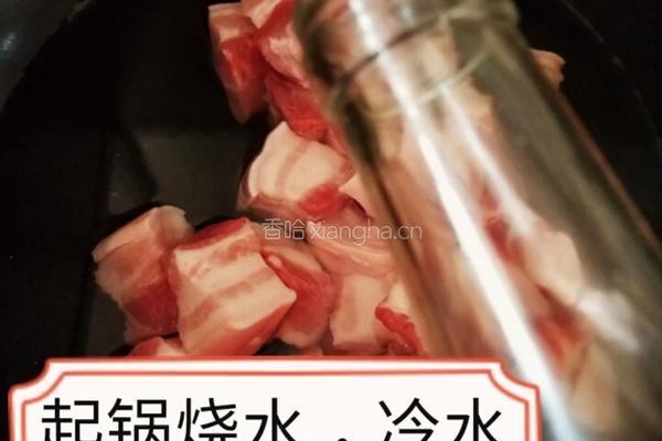 家庭顿肉的做法图解3