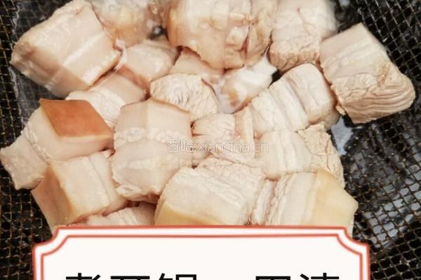 家庭顿肉的做法图解4