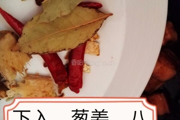 家庭顿肉的做法图解8