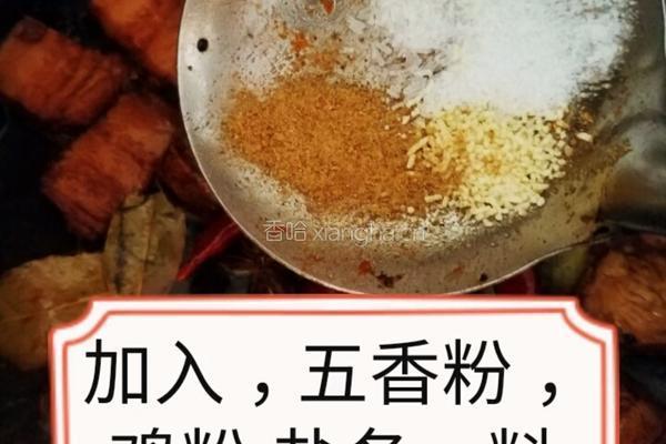 家庭顿肉的做法图解13