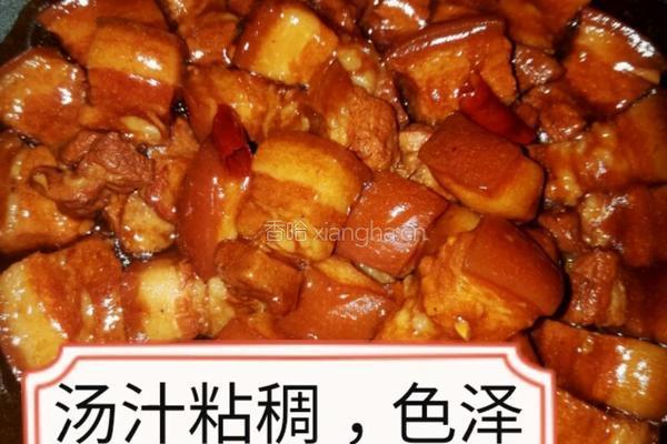 家庭顿肉的做法图解15