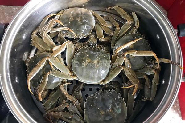 清蒸大闸蟹（原味）的做法图解2