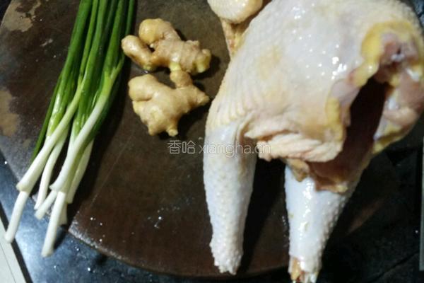 茶花白切鸡的做法图解1