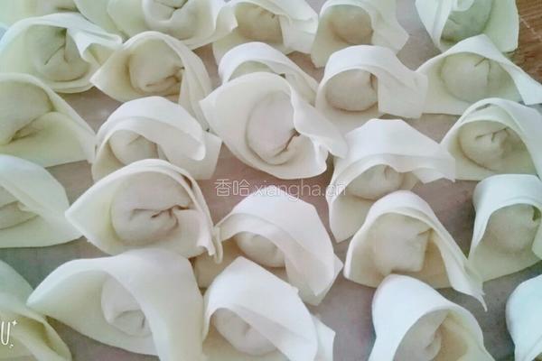 猪肉香菇抄手的做法图解5