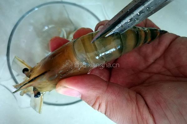 茄汁大虾的做法图解2