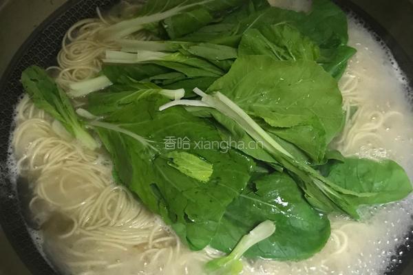 肉丝面条的做法图解11