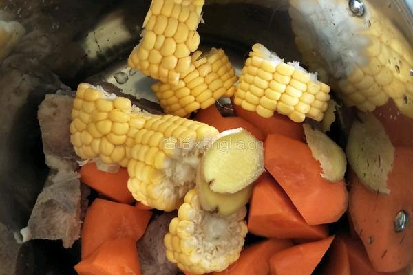 红萝卜玉米骨头汤的做法图解6
