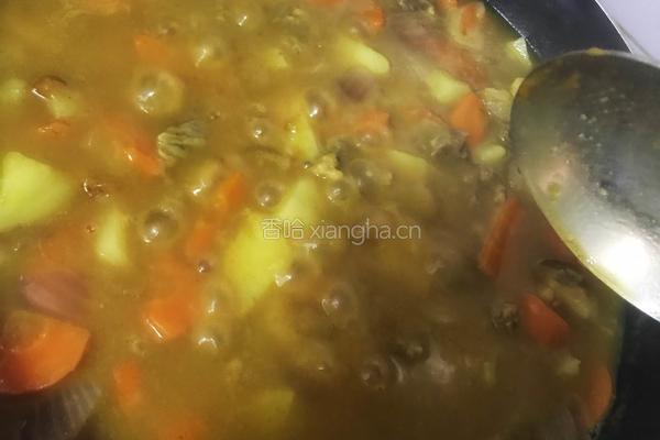 咖喱牛肉的做法图解7