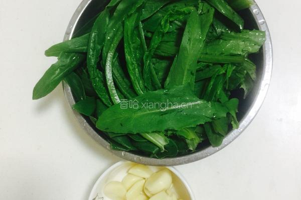 蒜蓉油麦菜的做法图解1