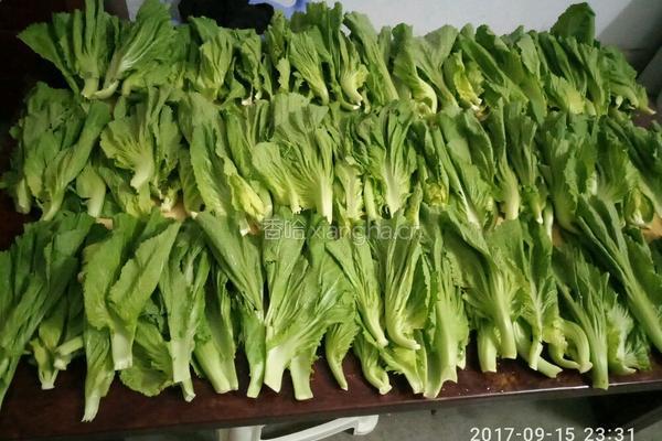 泡菜的做法图解2