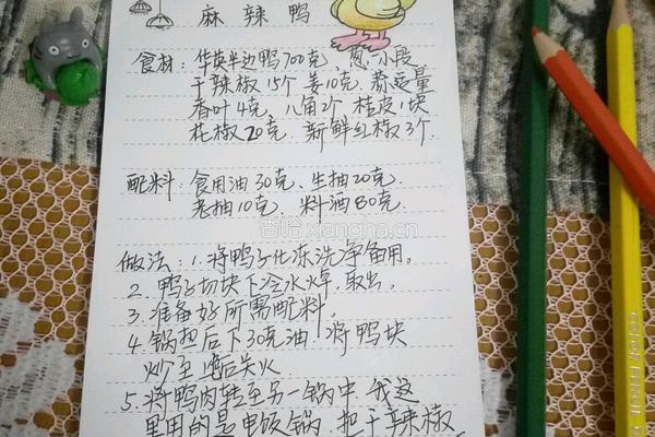 麻辣鸭的做法图解9