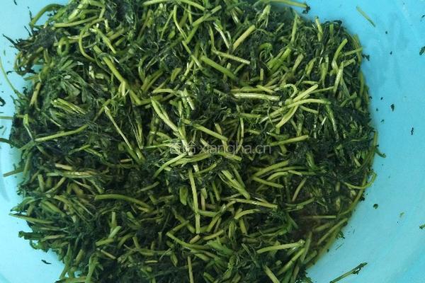 家庭版腌制英菜的做法图解1