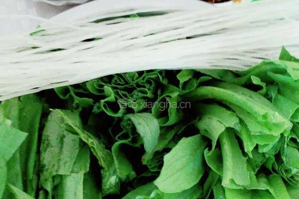 肉末油麦菜炖粉条豆泡的做法图解1