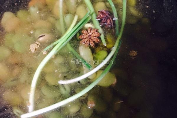 五香蚕豆的做法图解5