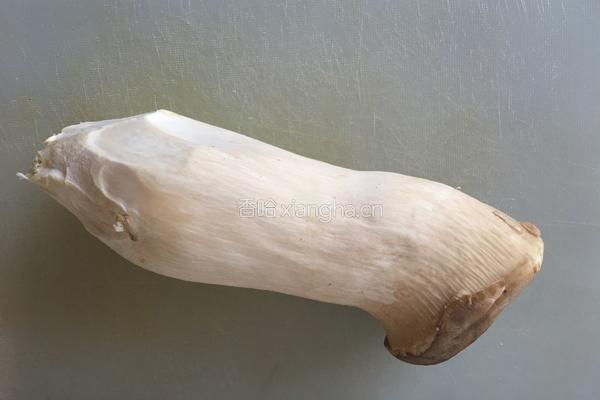 干煸杏鲍菇的做法图解1