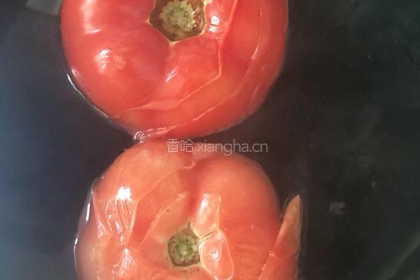 西红柿炖牛腩的做法图解7