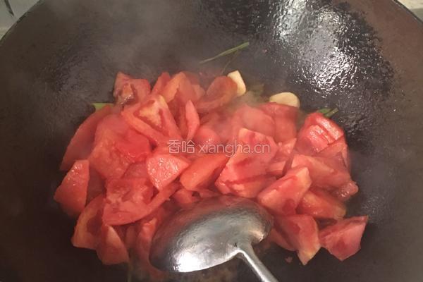 西红柿炖牛腩的做法图解10