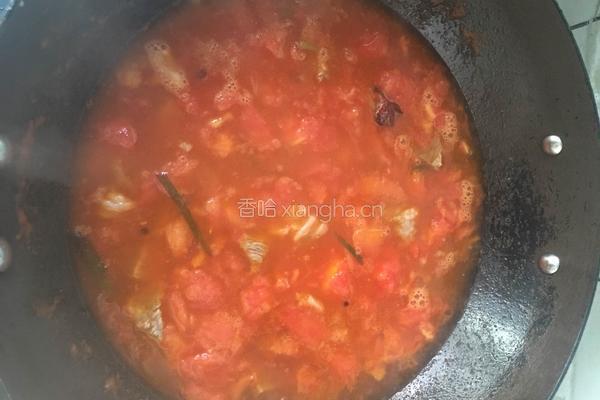 西红柿炖牛腩的做法图解14