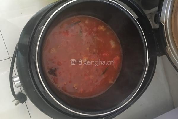 西红柿炖牛腩的做法图解15