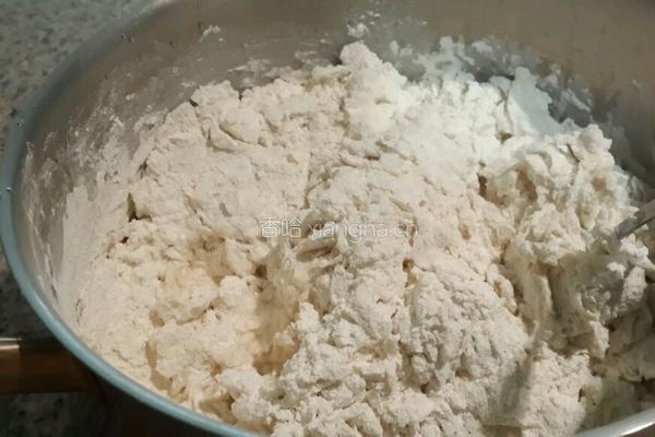 白菜猪肉包的做法图解2