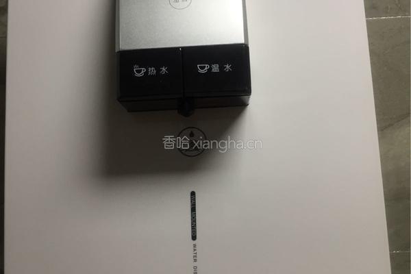 柚子薄荷饮的做法图解4