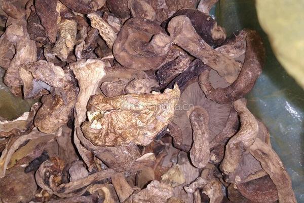 腊肉炖杂菌的做法图解1