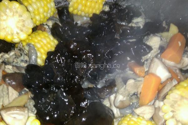 清炖乌鸡火锅的做法图解14