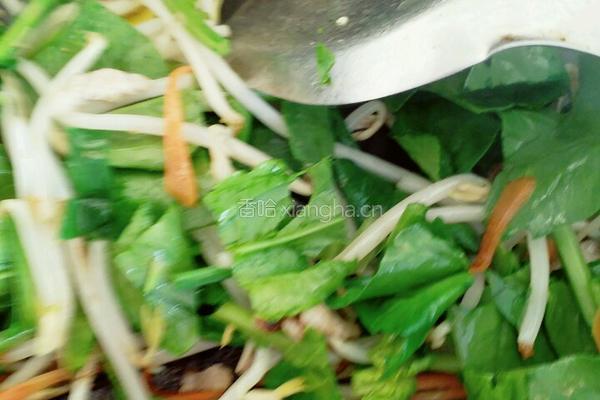 杂蔬肉末鸡蛋炒饼的做法图解3