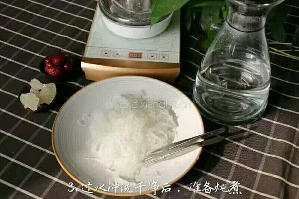 清炖燕窝的做法图解3